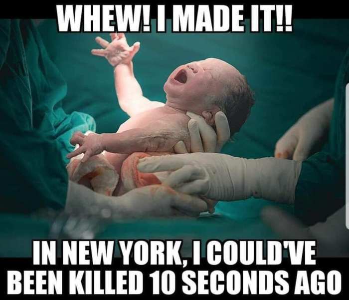 51028453_10156344288274227_4505322609335861248_n